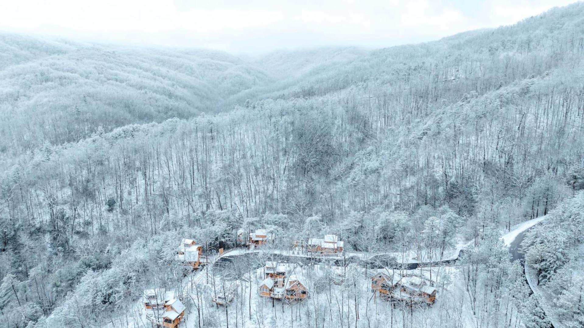 The Blackjack Oak In Treehouse Grove At Norton Creek Gatlinburg Εξωτερικό φωτογραφία